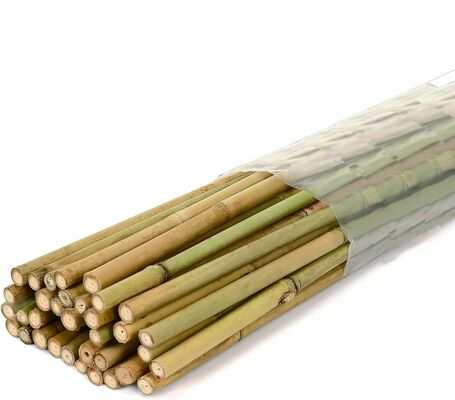 Strong & Sustainable Bamboo Stakes: Premium Supports for Climbing Plants