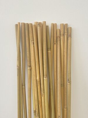Strong & Sustainable Bamboo Stakes: Premium Supports for Climbing Plants