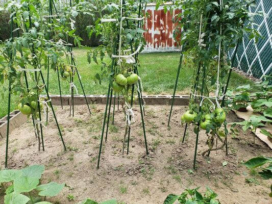 Plastic Coated Metal Stakes Green Garden Stakes for Plant Support Plant Climbing Landscape Fencing