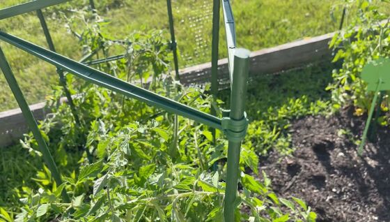 Plastic Coated Metal Stakes Green Garden Stakes for Plant Support Plant Climbing Landscape Fencing