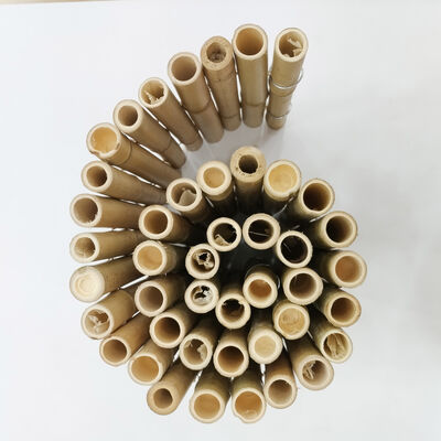 Natural Flexible Bamboo Short Fencing Decorative Outdoor Garden Landscape Edging