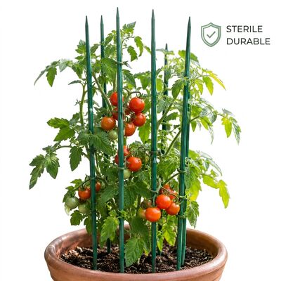 Natural Bamboo Flower Stakes Biodegradable Garden Plant Support Custom Sizes Colors for Nurseries
