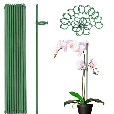 Green Plastic Coated Metal Plant Stakes for Garden Plant Support and Climbing Plants