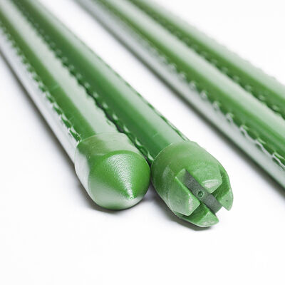Green Plastic Coated Metal Plant Stakes for Garden Plant Support and Climbing Plants